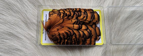 Lady Amherst Pheasant Cape.  Fly Tying Feather...  (1) Lady Amherst Pheasant Cape..  Grade  "A"  Color,, Summer Duck.