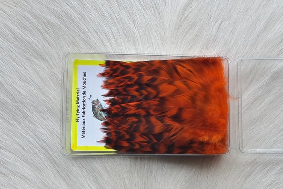 Fly Tying Feather. Select Schalpen Saddle Hackle (Feather)  (50) Per Box. Color; .  Orange Chinchilla.