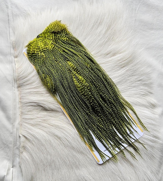 Fly Tying Feather.  SLS;  Rooster Full Saddle,, Color, Grizzly/Dyed Green . Fly Tying.   Free Shipping