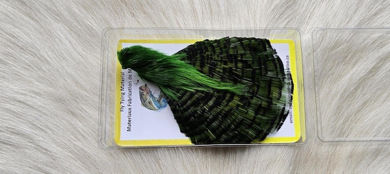 Golden Pheasant Cape.  Fly Tying Feather...  (1) Golden Pheasant Cape..  Grade  "A"  Color,, Green.