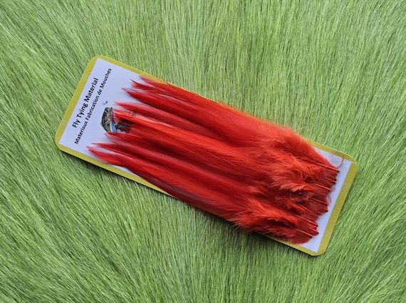 Fly Tying Saddle Hackle Feather... One only (50) Per Pack Selected Saddle Hackle Feather. Color, Fluorescent Orange.