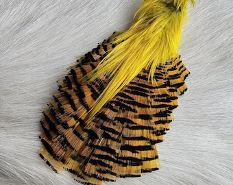 May include: A yellow and black pheasant tail feather with a long, bright yellow plume. The feather is arranged in a fan shape, with the black and yellow stripes visible on each individual feather.
