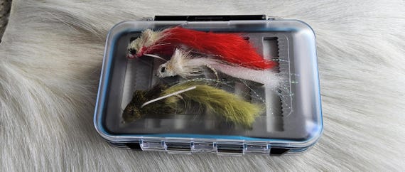 Double Sided See  Through Tackle Box..  (6) Bass Flies.. Free Shipping To USA with Tracking Number..