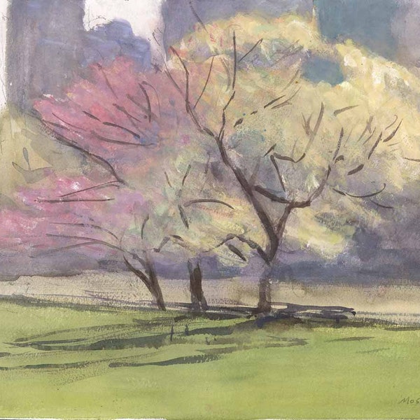 Zierapfel Cherry Blossom Baum Central Park Spring New York NYC Aquarell Landschaft Gouache Original Gemälde Handarbeit Mosley zierapfel Baum