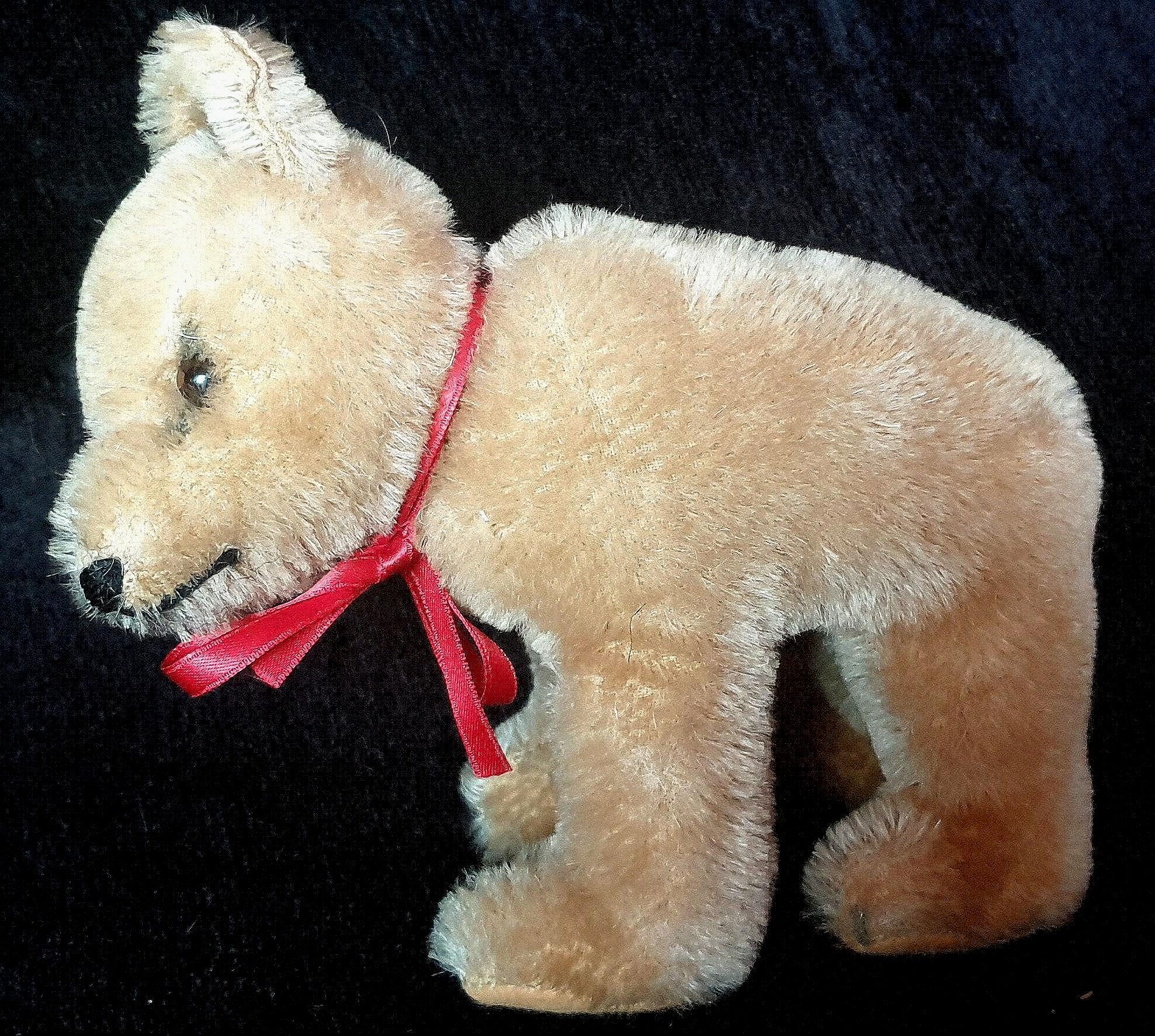 Ours Steiff Blanc Mohair – Années 1950 – 23 Cm – Avec Bouton D’oreille