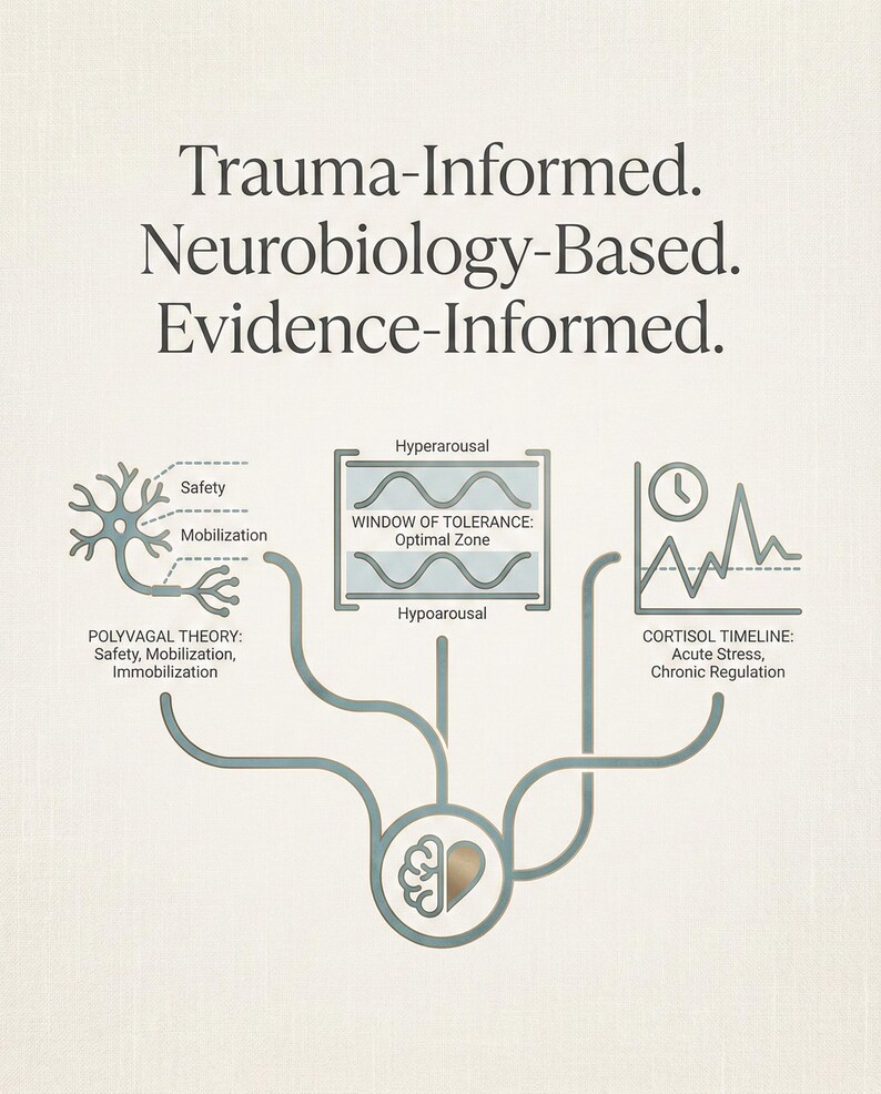May include: An educational infographic titled Trauma-Informed, Neurobiology-Based, Evidence-Informed. It features diagrams for Polyvagal Theory, Window of Tolerance, and Cortisol Timeline, all connected to a central brain and heart icon.