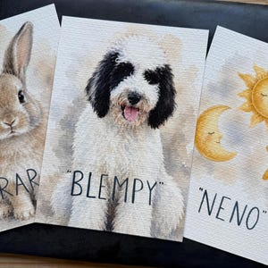 Può includere: Tre stampe artistiche ad acquerello. Una mostra un coniglio marrone con la scritta "RAR". Un'altra raffigura un cane bianco e nero con "BLEMPY". La terza ha un sole, una luna e una stella con "NENO".