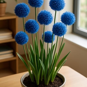 Könnte beinhalten: Ein Arrangement aus künstlichen blauen Allium-Blumen in einem Topf. Die kugelförmigen Blütenköpfe sind leuchtend blau, im Kontrast zu grünen Stielen und Blättern. Die Pflanze steht in einem hellen Keramiktopf, für die Inneneinrichtung.