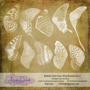 Butterfly Style Fairy Wing Brushes Set 2 image 1