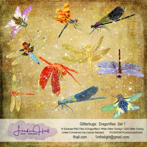 Glitterbugs: Dragonflies