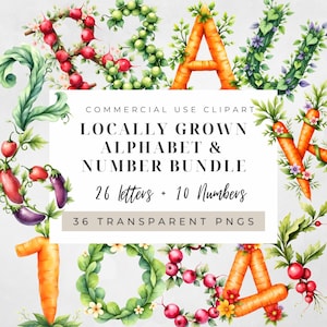 May include: A watercolor digital art bundle featuring letters and numbers crafted from vegetables and foliage. The text reads "Locally Grown Alphabet & Number Bundle" with 26 letters and 10 numbers. The image includes the text "36 Transparent PNGs".