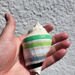 May include: A painted seashell with horizontal stripes of green, white, tan, gray, and black. The shell is held in a hand against a textured white background. The shell's natural shape is visible.