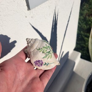 Puede incluir: Una concha de color crema decorada con hojas verdes y flores moradas. La concha se sostiene en una mano, con una pared blanca y luz solar en el fondo.