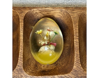 3" Vintage 1970's Resin Egg Paperweight. Real Dried Flowers & Shells In Tact