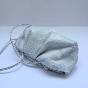 Pode incluir: Uma bolsa clutch cinza-claro com um padrão texturizado de pele de cobra. A bolsa tem uma estrutura macia, franzida e plissada com uma alça de ombro fina e trançada presa nas laterais. A superfície tem uma aparência distinta de escamas.
