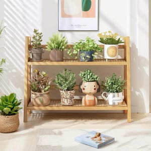 Op de afbeelding: Een bamboe plantenstandaard met twee niveaus met diverse potplanten. De potten hebben verschillende vormen, maten en kleuren, waaronder een meisjesvormige plantenbak. De standaard staat op een lichtgekleurd tapijt, met een boek en kunstwerk op de achtergrond.