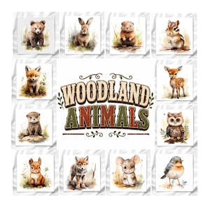 May include: A collection of twelve watercolor illustrations of woodland animals including a bear, rabbit, groundhog, chipmunk, fox, deer, otter, owl, squirrel, wolf, mouse, and bird, surrounding the text WOODLAND ANIMALS in a rustic font.