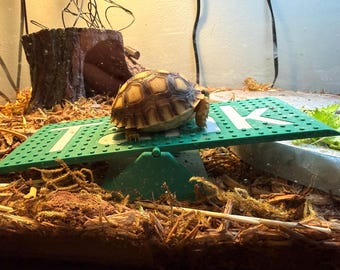Könnte beinhalten: Eine Schildkröte steht auf einer grünen Kunststoffwippe mit den Buchstaben "T" und "K" in Weiß. Die Schildkröte hat einen braunen und beigen Panzer. Die Wippe befindet sich in einem Terrarium mit Holzspänen und einem Baumstamm.