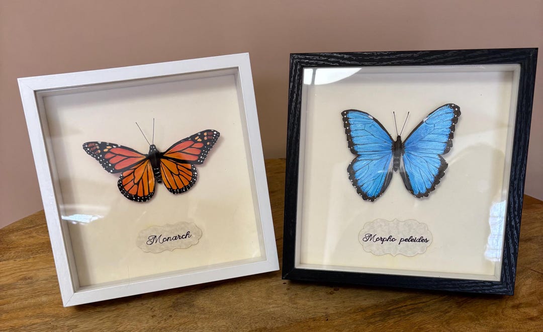 3D Handmade / Painted Butterflies in 8 X 8 Shadow Box Frame. - Etsy