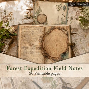 Vintage Botanische Junk Journal Seiten | Wald Feld Notizen (Digitaler Download)
