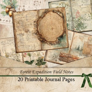 以下が含まれることがあります： 植物のイラストが描かれた開いたジャーナルと、木の年輪のデザインが施された中央のジャーナル。テキスト「Forest Expedition Field Notes」と「20 Printable Journal Pages」が下に表示されています。