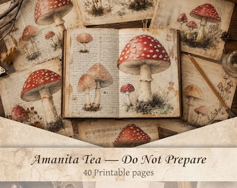 Vintage Mushroom Junk Journal Paper | Amanita Botanical Ephemera, Cottagecore Woodland Scrapbook, Printable Toadstool Background