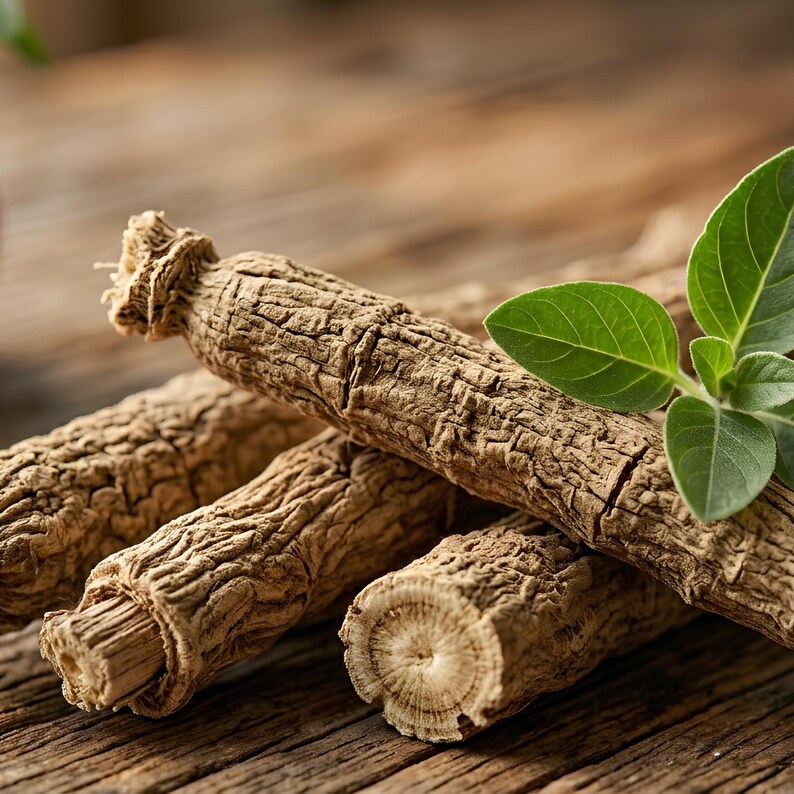 May include: Several light brown, woody roots with a rough, textured bark surface. The roots are cylindrical and elongated, featuring a fibrous cross-section at the ends. A small sprig of vibrant green leaves rests atop the roots.