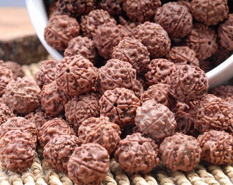 17-18 MM Naturel Rudraksha Bodhi Graines De Pierres Précieuses De Qualité AA Rare Mala De Prière Brun Rond 12 Perles (80003093-391)