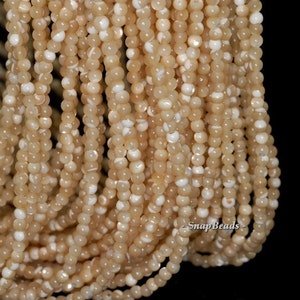May include: A strand of beige and white shell beads. The beads are round and have a smooth, polished finish. The beads are strung on a clear thread.