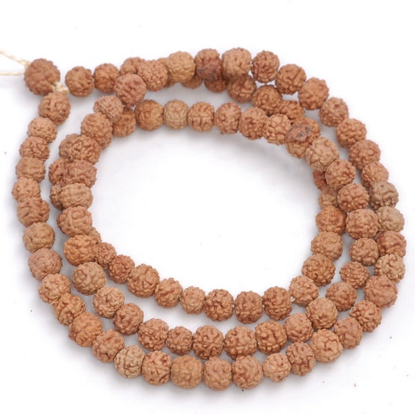 5-6MM Natural Rudraksha Bodhi Seed Gemstone Round Loose Beads 21 inch  (80004028-W11)