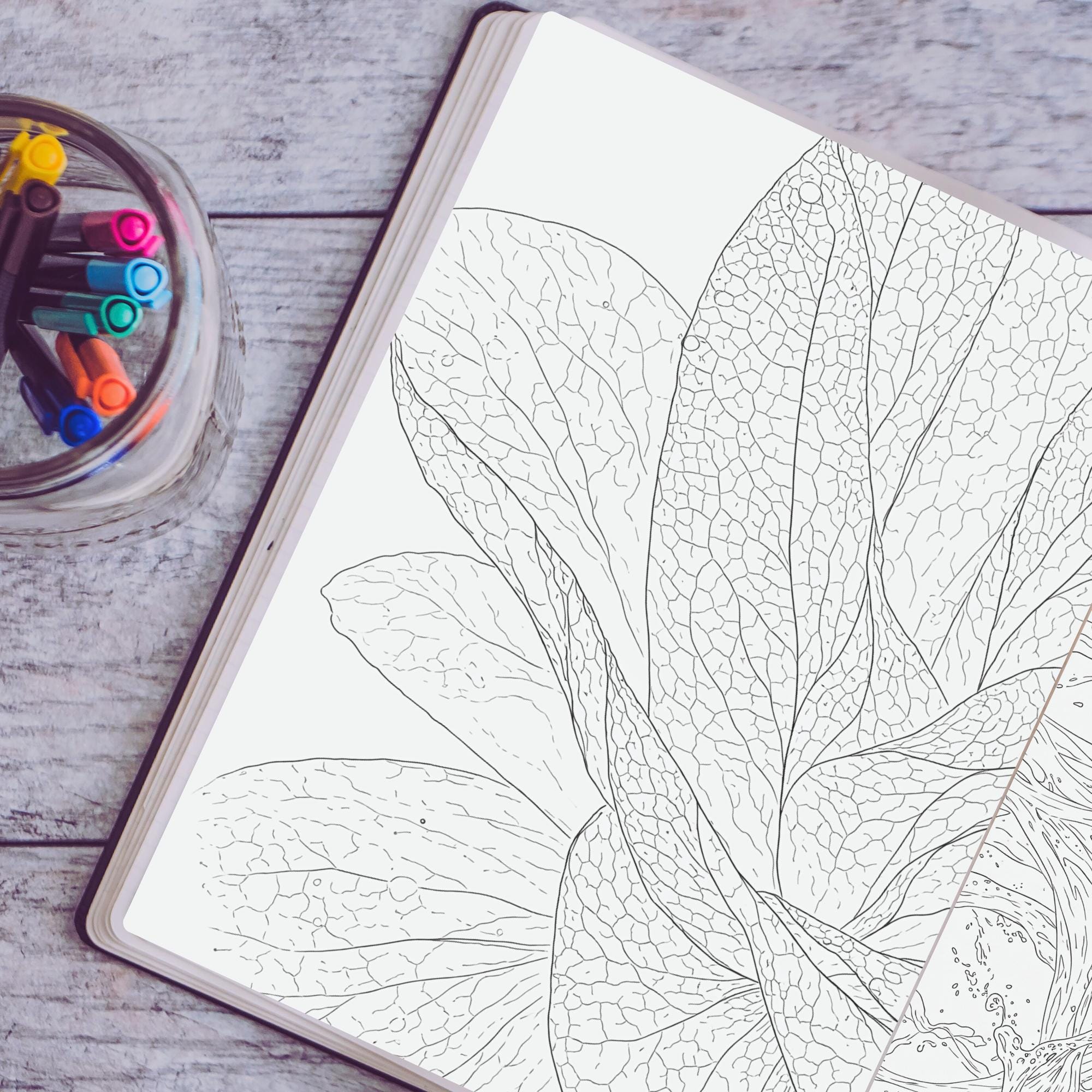 Printable Coloring Pages Set — 60+ Fine Line Black & White Art Designs ...