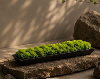 安定化・保存された苔の壁アート、手作りの自然フレーム