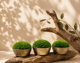 安定化・保存された苔の壁アート、手作りの自然フレーム