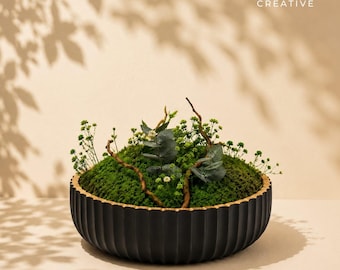 安定化・保存された苔の壁アート、手作りの自然フレーム