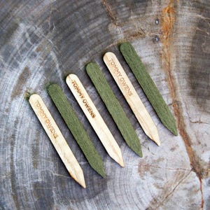 May include: Five wooden plant markers with the text "Tommy Owens" printed on them. The markers are green and brown and are arranged in a fan shape on a wooden surface.