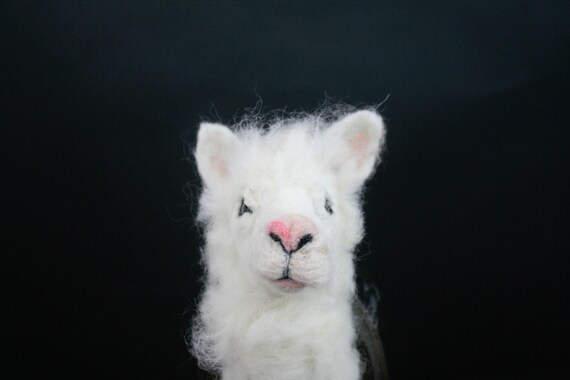 Alpaca Sculpture (Vicugna pacos)