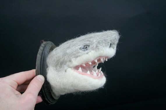 Great White Shark (Carcharodon carcharias)