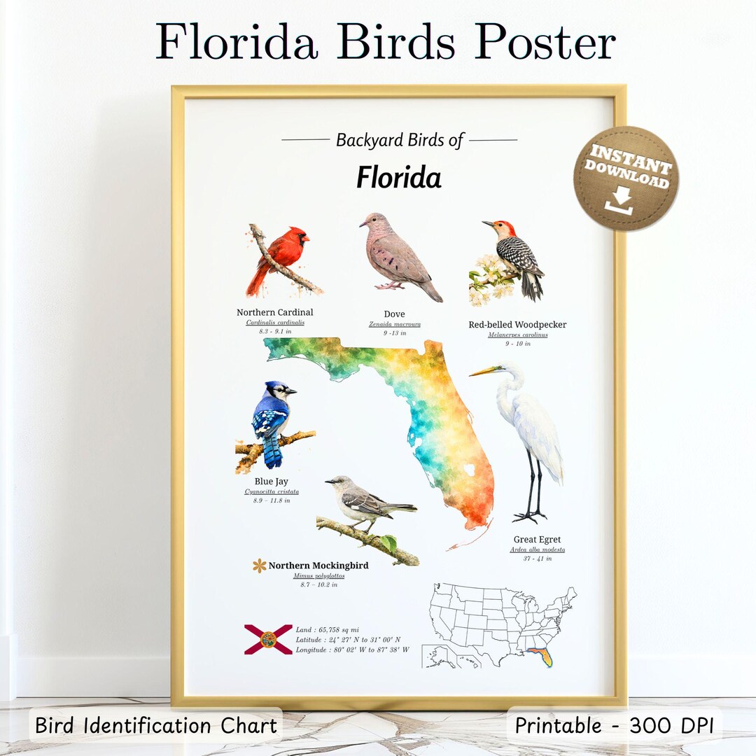 Printable Florida Backyard Birds Watercolor Poster | FL Field Guide ...