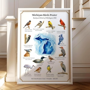 May include: A framed poster titled "Michigan Birds Poster" displaying watercolour illustrations of Michigan bird species. The poster includes bird names and a map of Michigan. The text "Bird Identification Chart - Printable - 300 DPI" is also included.