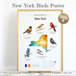 May include: A framed poster titled "New York Birds Poster" featuring watercolor illustrations of various bird species native to New York. The poster includes the text "Backyard Birds of New York" and "Bird Identification Chart".