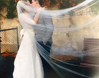 May include: A bride and groom share a kiss, partially obscured by a flowing white veil. The bride wears a white wedding dress with lace sleeves. The groom is in a gray shirt. The background features a wall with climbing flowers.