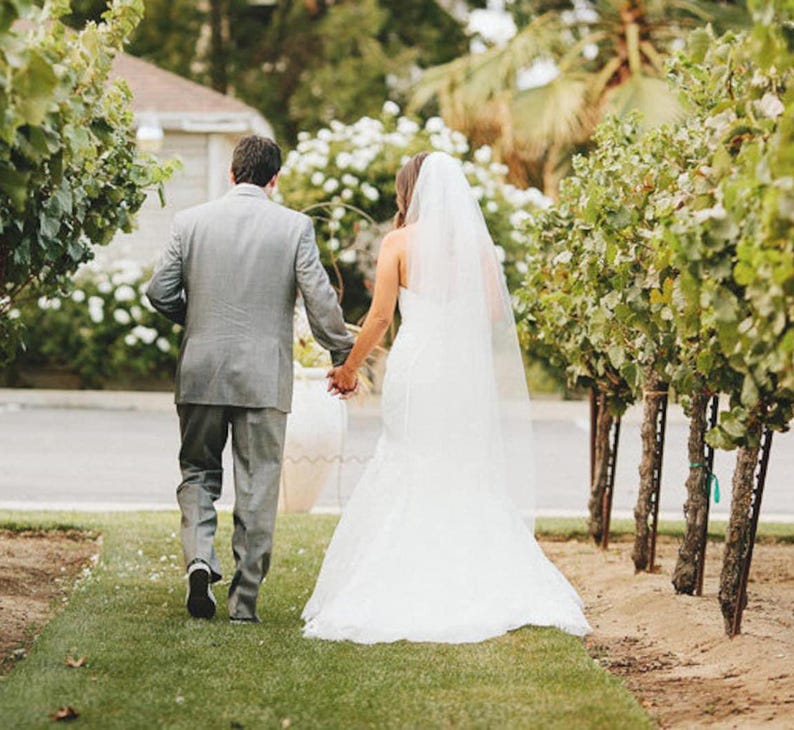 May include: A bride and groom walking away from the camera down a path lined with grapevines. The bride is wearing a white wedding dress with a long veil. The groom is wearing a gray suit.