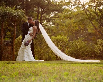 May include: A couple kissing outdoors on a sunny day. The woman wears a white wedding dress with a long veil. The man is in a black suit. They are standing on a grassy lawn with trees in the background.