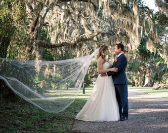 May include: A bride in a white strapless wedding dress and veil embraces a person in a navy suit. They stand on a paved path under a tree with hanging moss. The veil is flowing in the wind, creating a romantic scene.