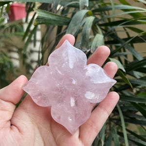 May include: A carved rose quartz crystal shaped like a four-petaled flower. The stone is translucent with a pale pink hue and a smooth, polished surface. The design features rounded petals that taper to points, creating a symmetrical floral form.