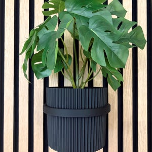 Könnte beinhalten: Ein dunkelgrauer, gerippter Pflanztopf mit schwarzem Band, der eine üppige grüne Monstera-Pflanze enthält. Der Pflanztopf ist an einer Holzwand mit vertikalen schwarzen Streifen befestigt, was eine moderne Ästhetik schafft. Die großen, geteilten Blätter der Pflanze verleihen eine natürliche Note.