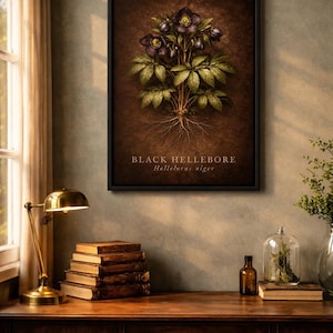 Black Hellebore - Dark Academia Botanical Print, Vintage Moody Floral Art, Victorian Herbarium Poster, Framed Goth Flower Print