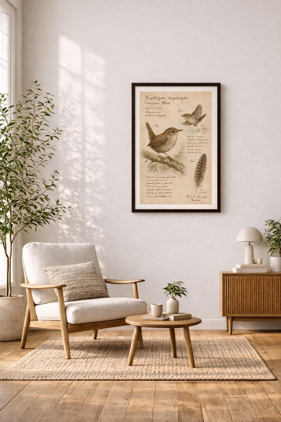 Vintage Eurasian Wren Field Guide Poster - Archival Wildlife Art ...