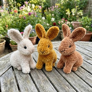 Rabbit Crochet Pattern, Mini Bunny Amigurumi Pattern PDF, Rabbit Love Gift Idea, Easter Bunny Crochet Pattern, Wild Animals Crochet Toys