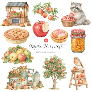 Puede incluir: Una colección de acuarelas titulada Apple Harvest con ilustraciones de manzanas rojas, un mapache con una cesta de manzanas, un pastel de manzana, una tarta, un tarro de conservas, un pájaro en un taburete, un árbol y un puesto de mercado.